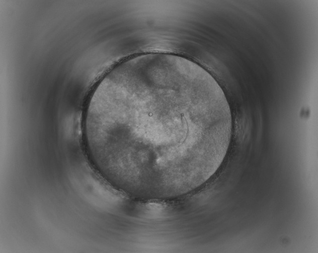 X0000111810302200907301239