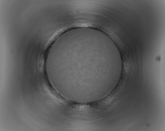 X0000111810304200907301239