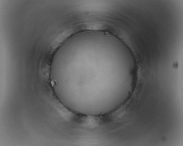 X0000111810305200907301239