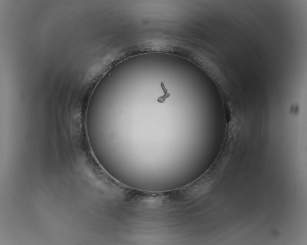 X0000111810306200907301239