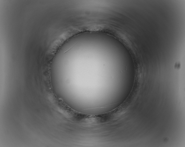 X0000111810307200907301239