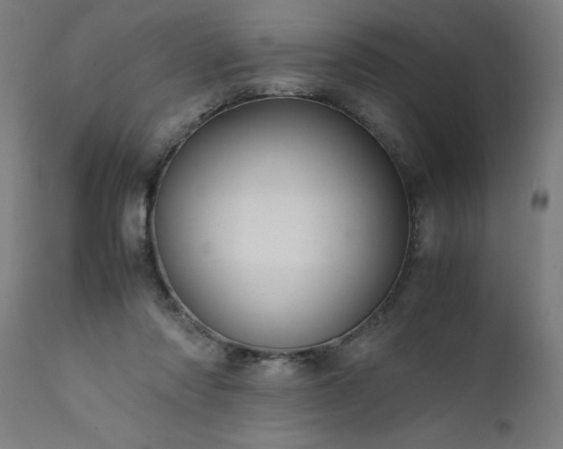 X0000111810310200907301239