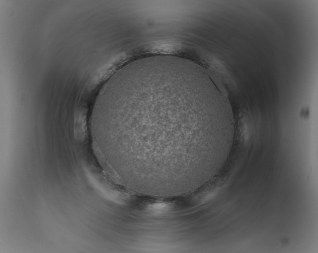 X0000111810312200907301239