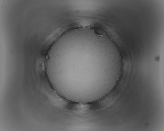 X0000111810313200907301239