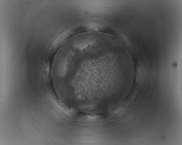 X0000111810314200907301239