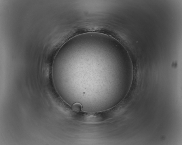 X0000111810315200907301239