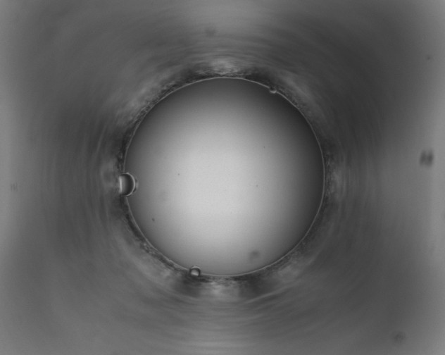 X0000111810317200907301239