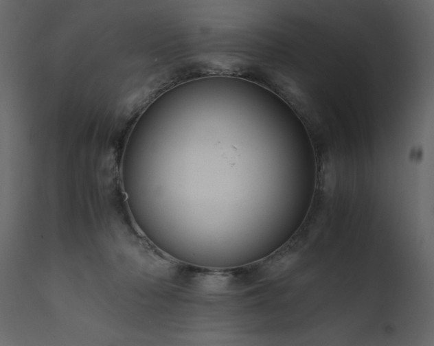X0000111810318200907301239