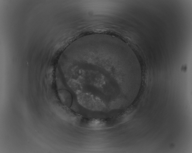 X0000111810319200907301239