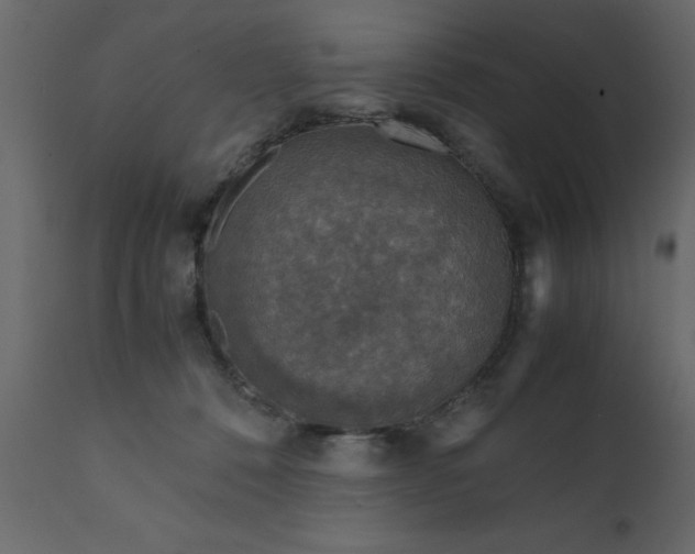 X0000111810320200907301239