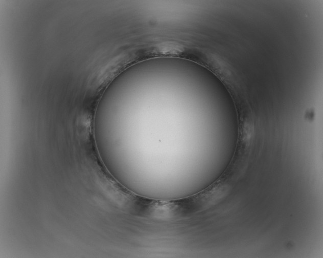 X0000111810321200907301239