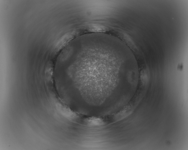 X0000111810322200907301239