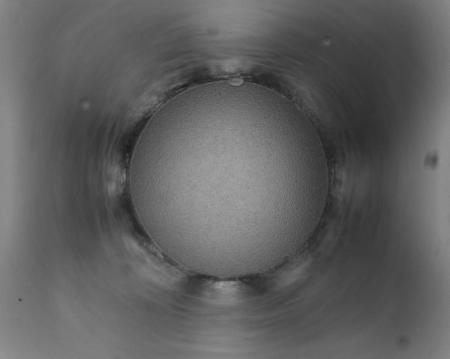 X0000111810324200907301239