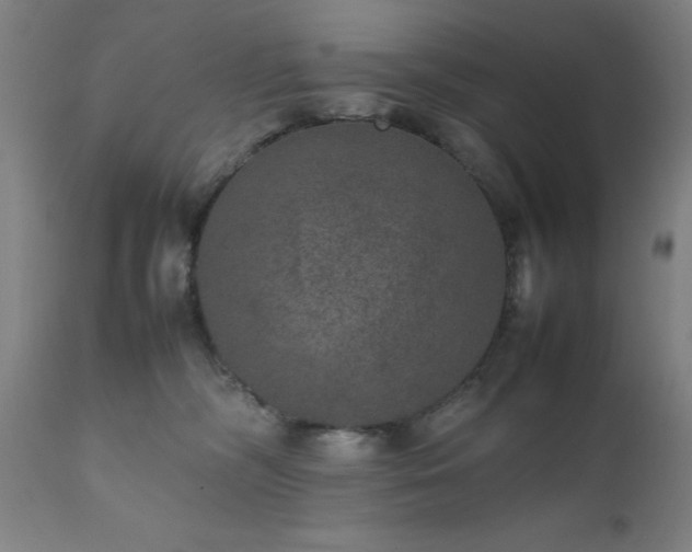 X0000111810326200907301239