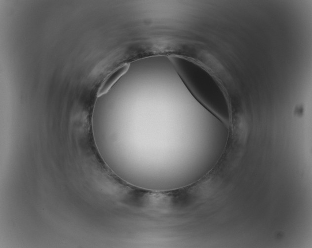 X0000111810327200907301239