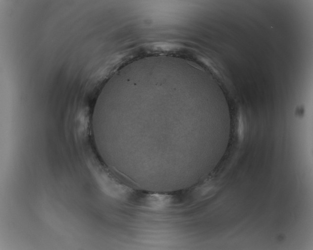 X0000111810328200907301239