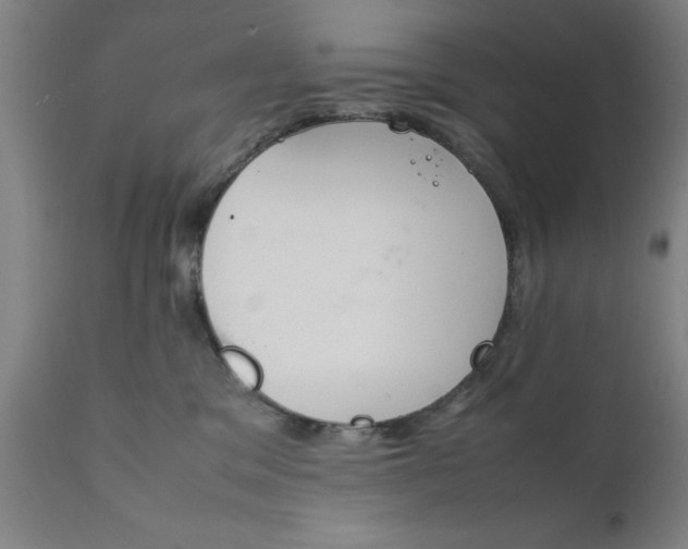 X0000111810329200907301239