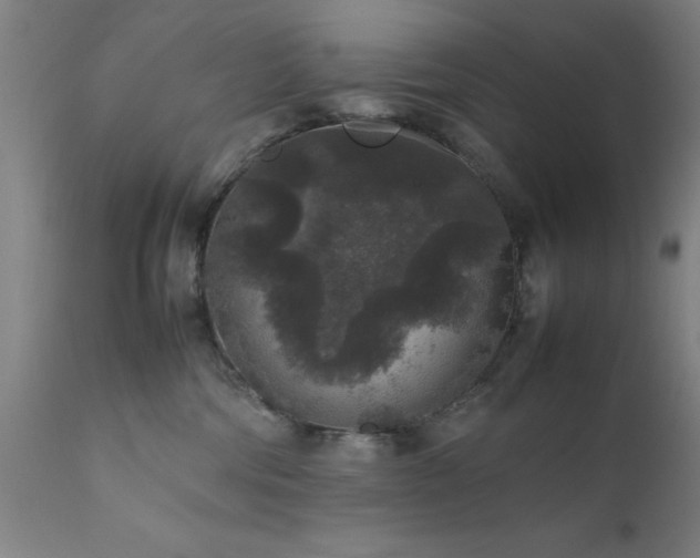X0000111810330200907301239