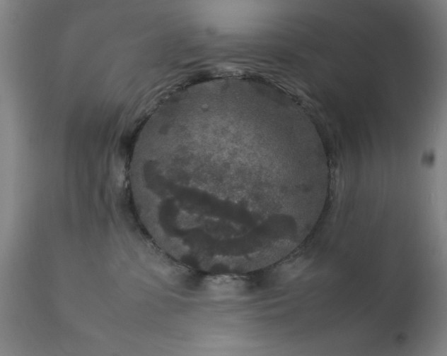 X0000111810331200907301239