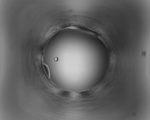X0000111810333200907301239