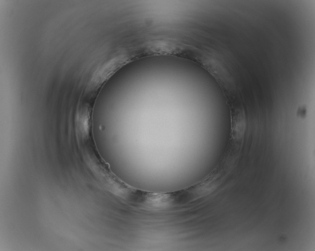X0000111810334200907301239