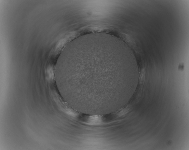 X0000111810335200907301239