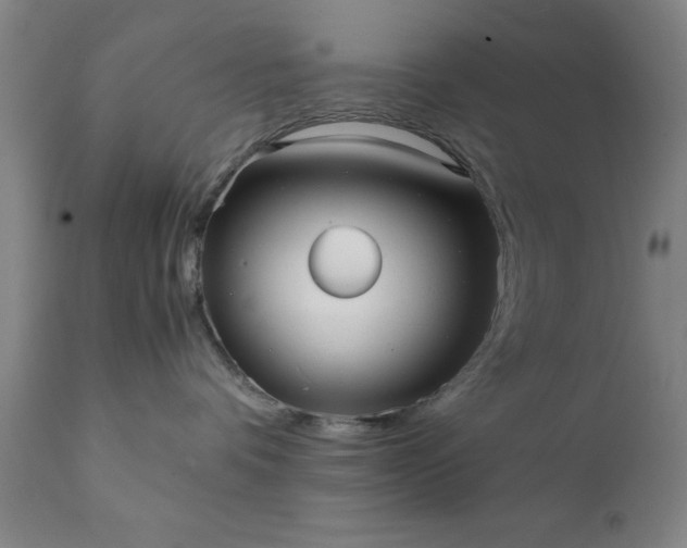 X0000111810336200907301239