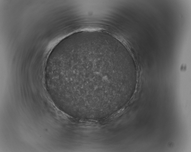 X0000111810337200907301238