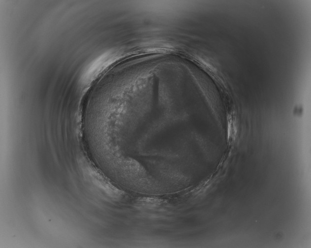 X0000111810339200907301238