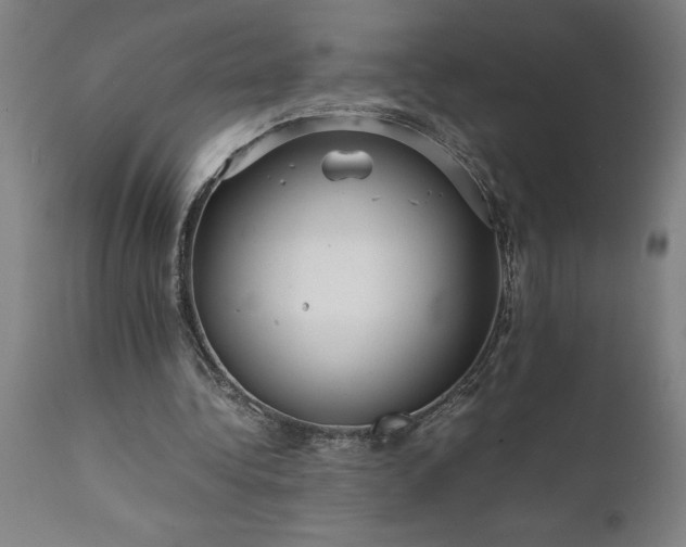 X0000111810340200907301238