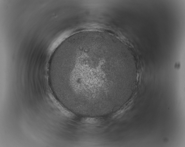 X0000111810341200907301238