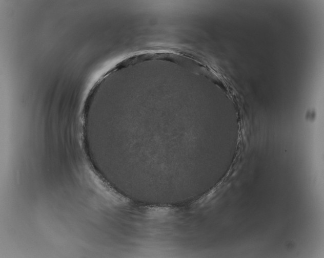 X0000111810342200907301238