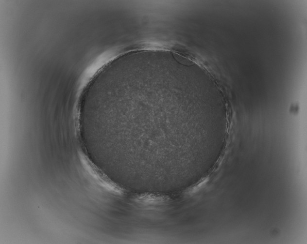 X0000111810343200907301238