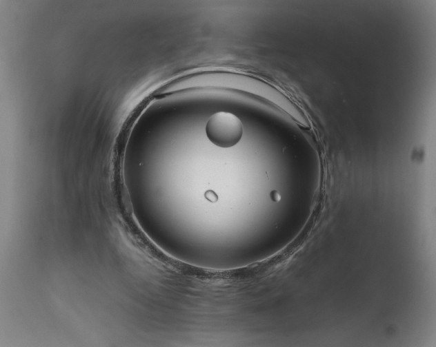 X0000111810344200907301238