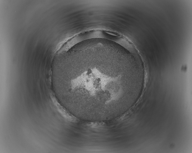 X0000111810345200907301238