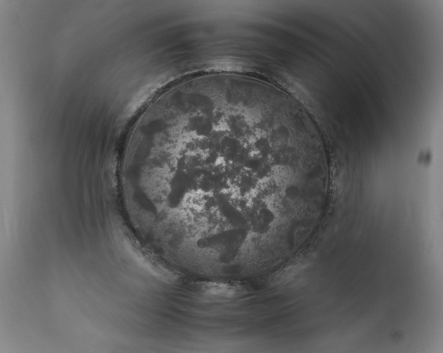 X0000111810347200907301238