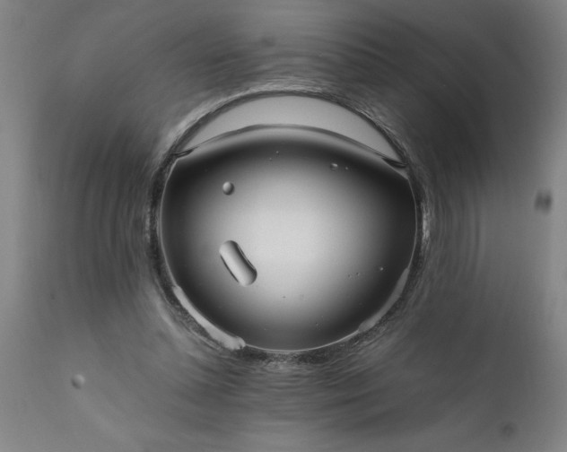 X0000111810348200907301238