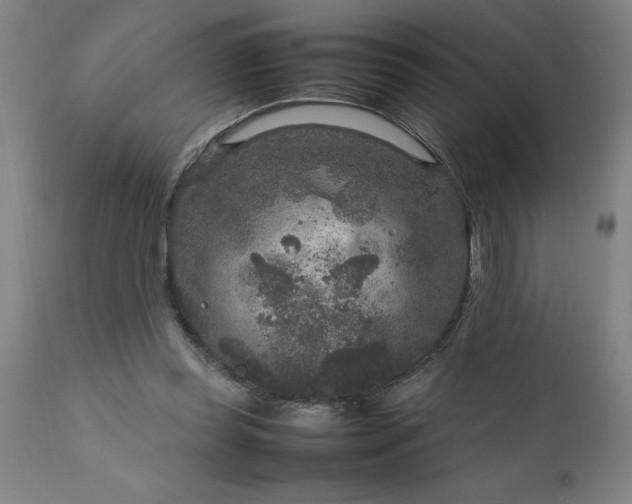 X0000111810349200907301238