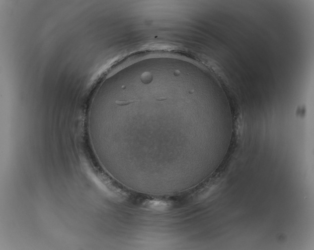 X0000111810352200907301238
