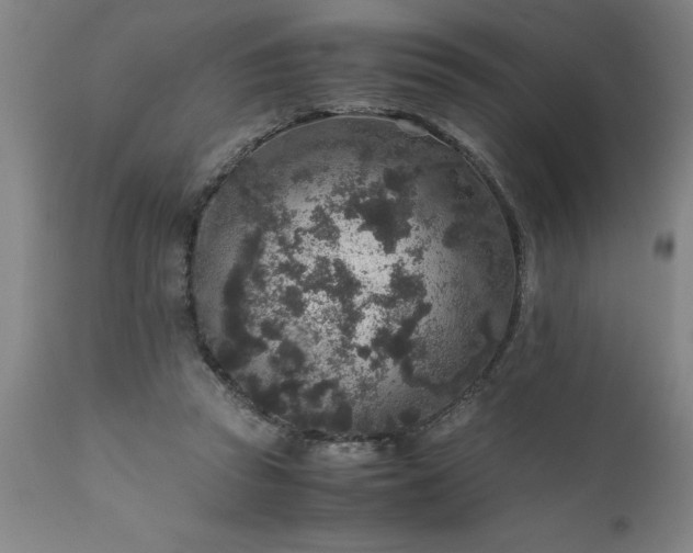 X0000111810353200907301238