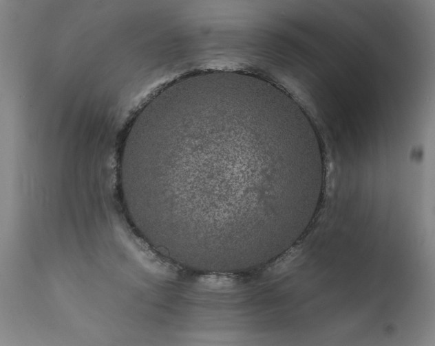 X0000111810354200907301238