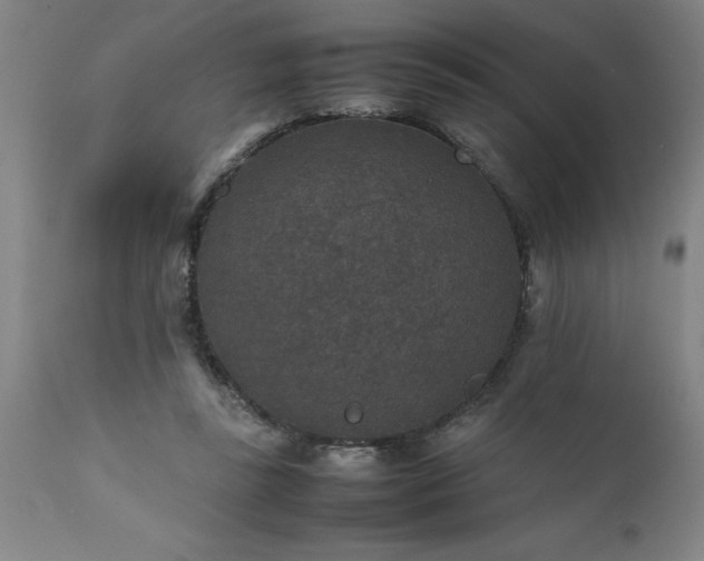 X0000111810355200907301238