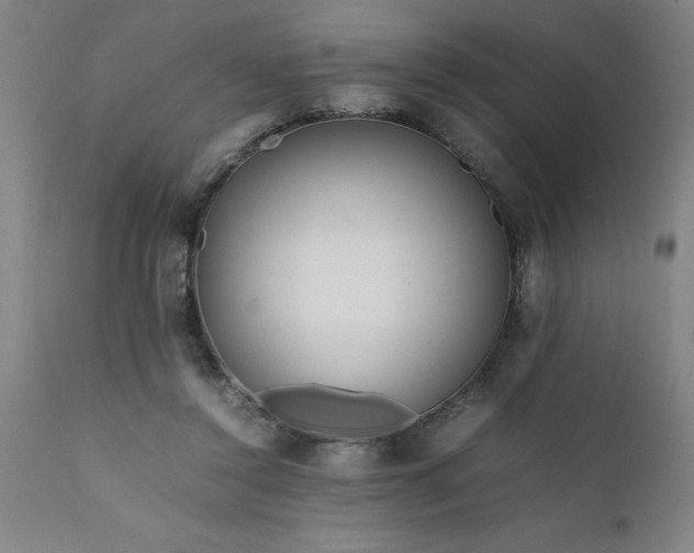 X0000111810356200907301238