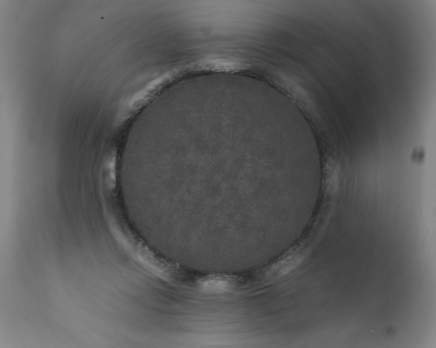 X0000111810358200907301238