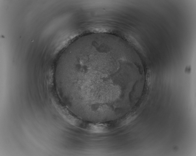 X0000111810359200907301238
