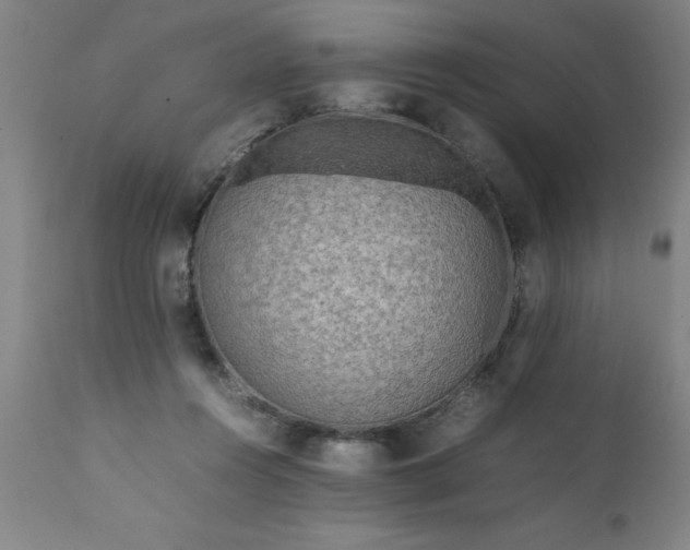 X0000111810360200907301238