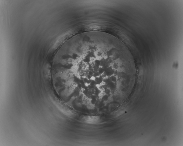 X0000111810361200907301238