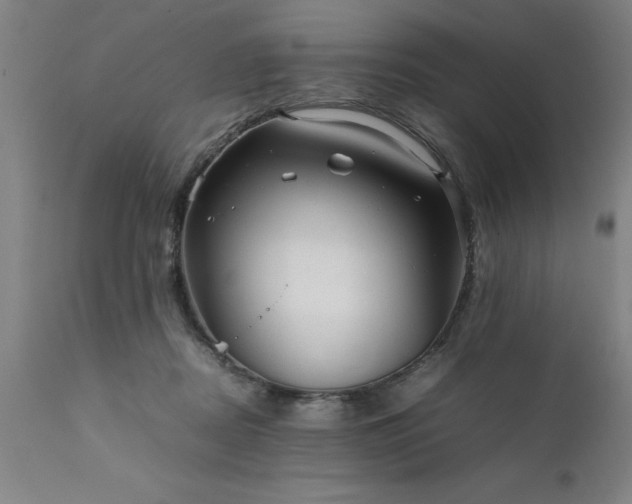 X0000111810362200907301238