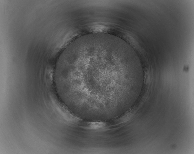 X0000111810363200907301238