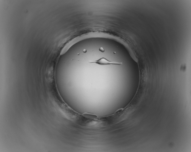 X0000111810364200907301238